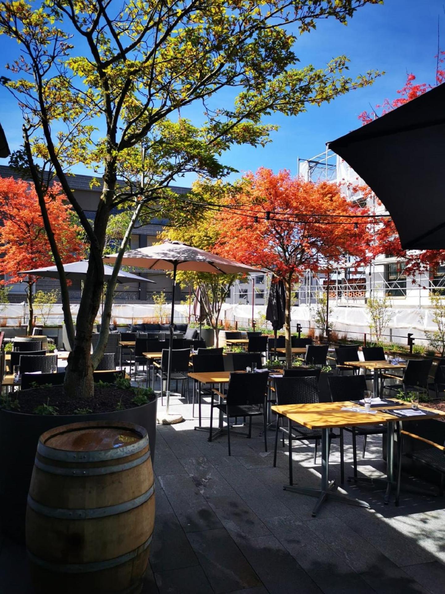 兰德嘎斯霍夫露恩酒店 Uitikon 外观 照片